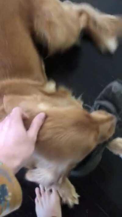 Petunia makes some weird noises