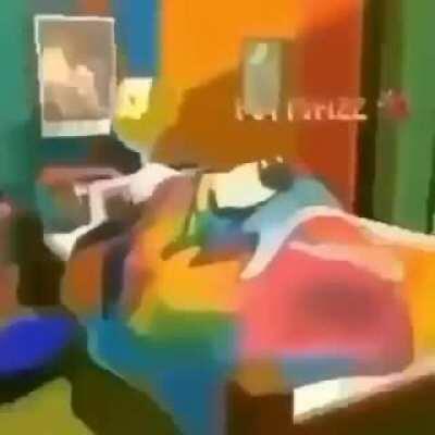 masturbatory acts for anatidae