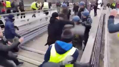 To stop a professional protester