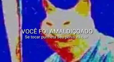 Você foi amaldiçoado (calma ademiro, não é o que parece 🥺)