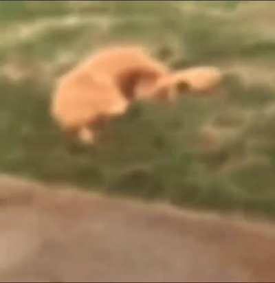 What hole Theres no hole...