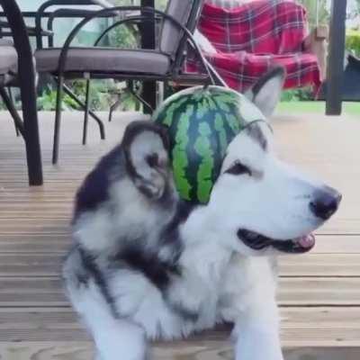 When you finally get that armor upgrade