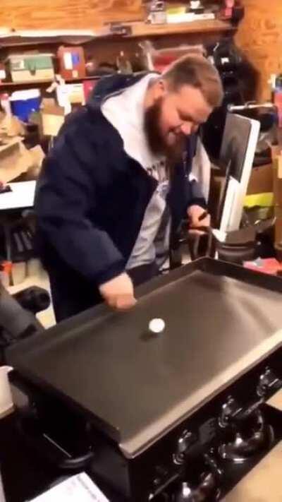 Missed filming where the egg landed