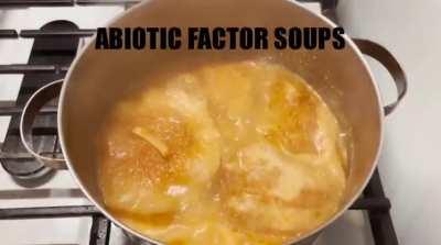 Abiotic factor soups be like: