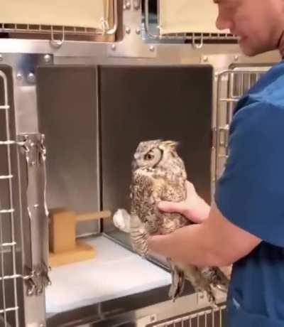 Sir I don't think the anaesthetic has worn off