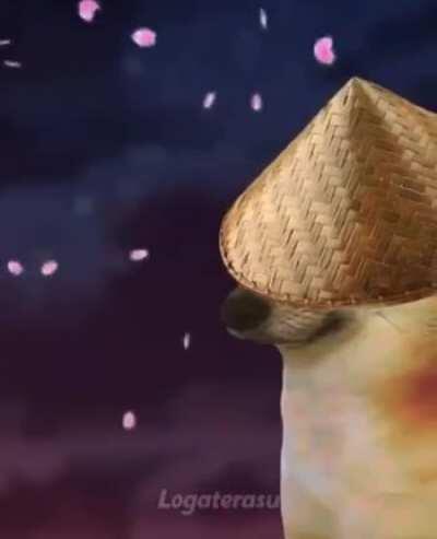 Sacrifice that had to be made😢