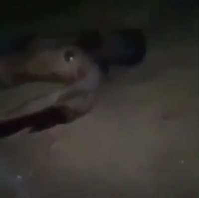 Bro stole a snickers bar and paid the consequences