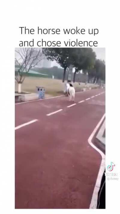 Fuck this guy in particular