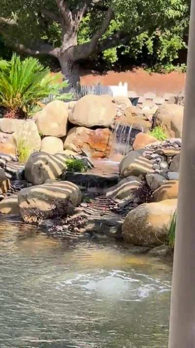 Another socal pond we did