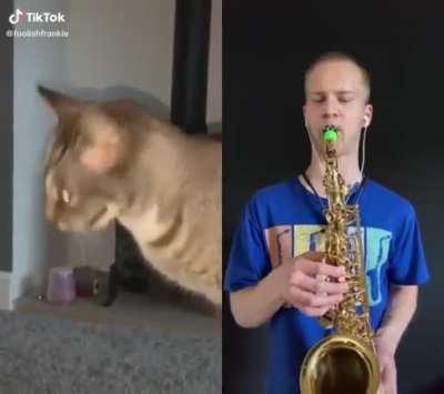 low-key kinda fire ngl