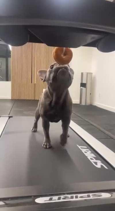 Summer preparations are in full swing