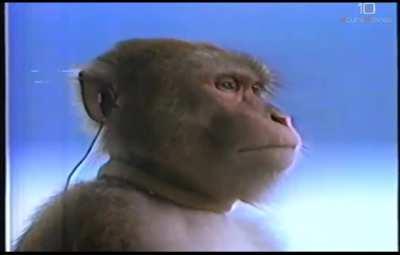 me preparing for next season