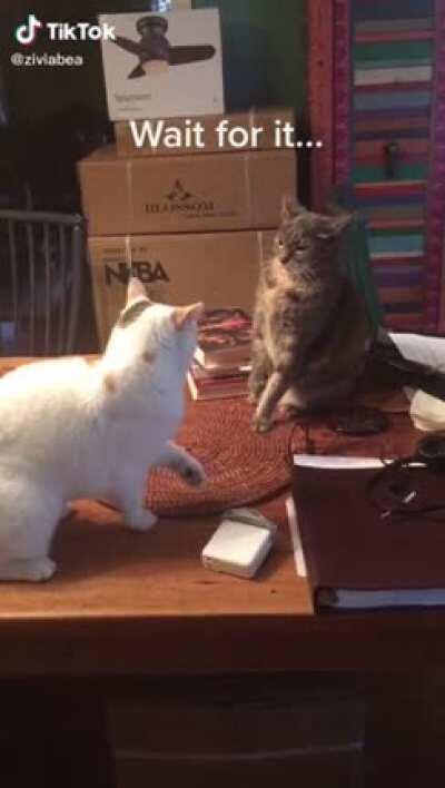 Third parties be like