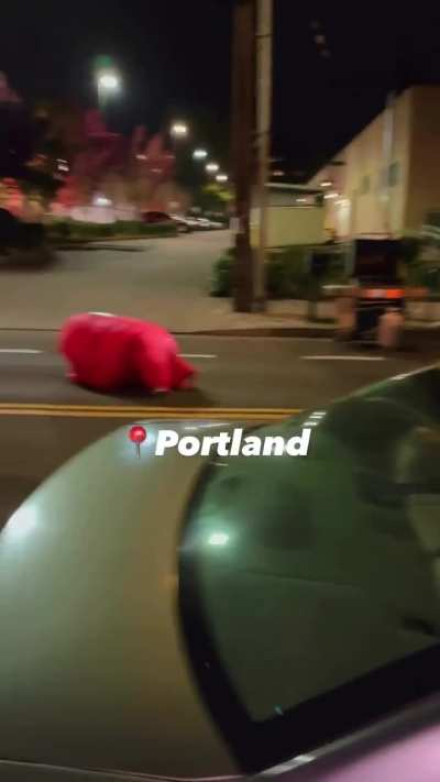 I could listen to this dude laugh all day [Portland, OR]