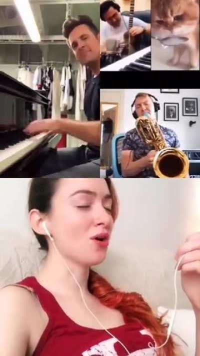 This cat turned into a song