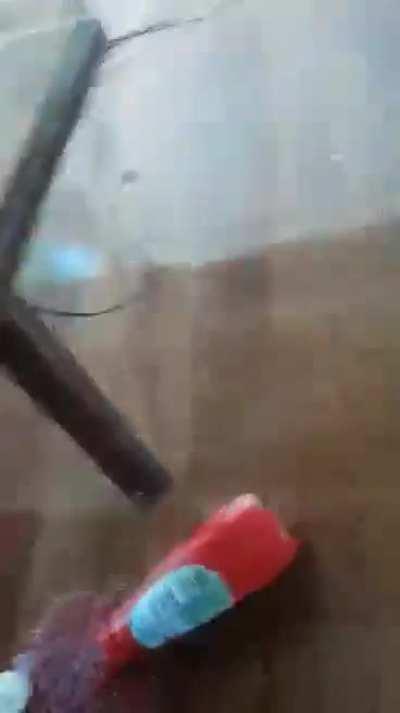 the way Colin awkwardly shifts feet kills me every time