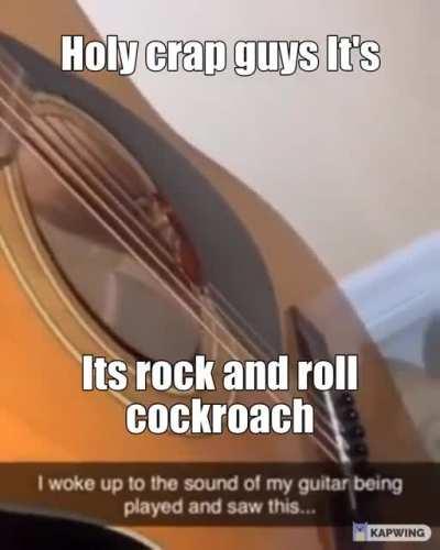 Rivers Cuomo as a bug?How?!