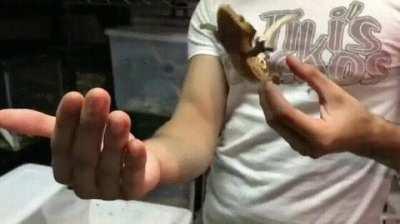 At least it was graceful