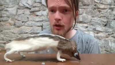 How To get take your own snacks to the cinema