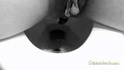Clogging Public Toilet with Shit, Tampon, TP [F] [GIF]