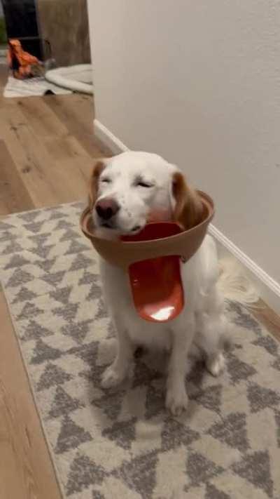 Innocent until proven guilty