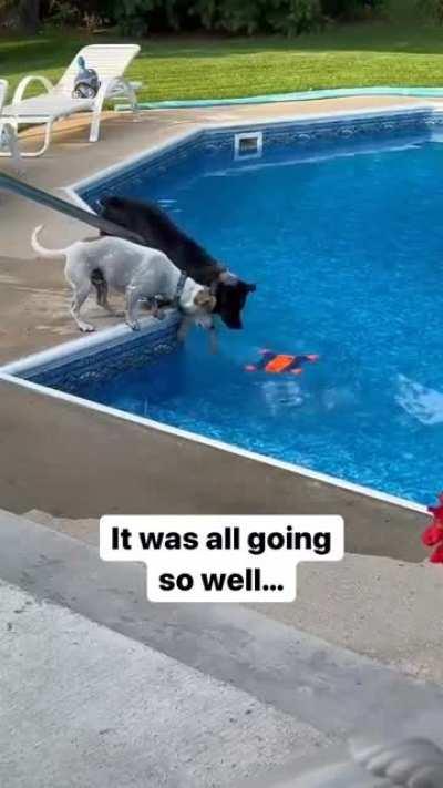 Everything was fine untill