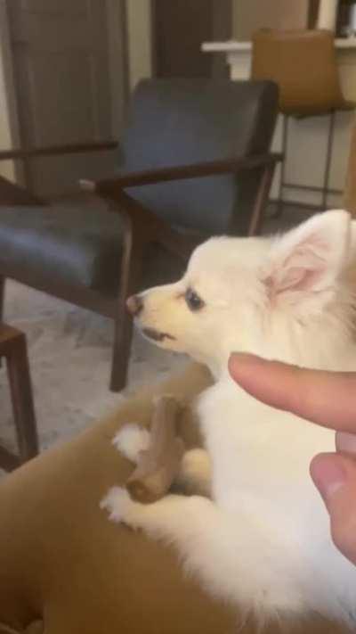 No Pointing Allowed!