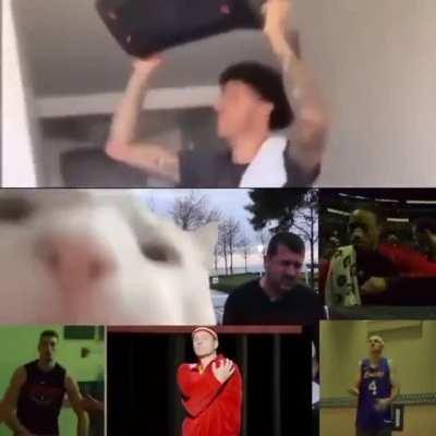 Bulls basketball makes me happy...now with Vooch!