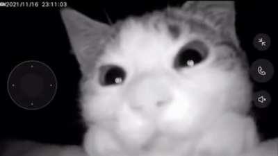 Patiently Waiting For Human