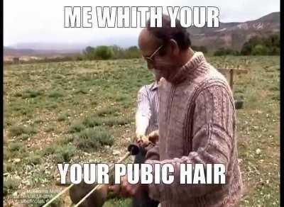 LE BHAWLL HAIR EAM I RIGHT ???😁😁😁😂🤣🤣🤣🤣🤣