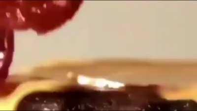 Joe biden’s burger king 😞