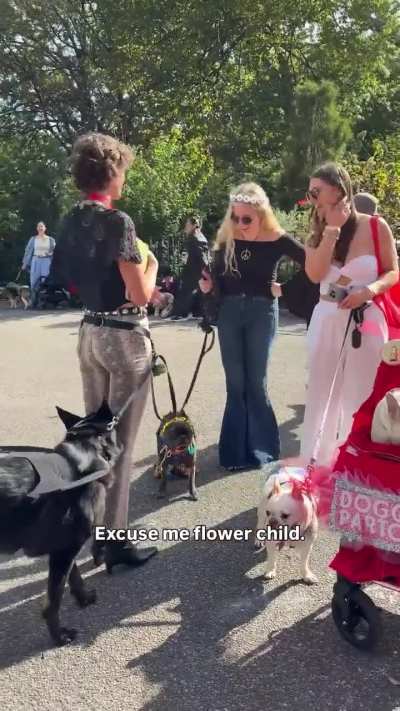 Tompkins Square Halloween Dog Parade II