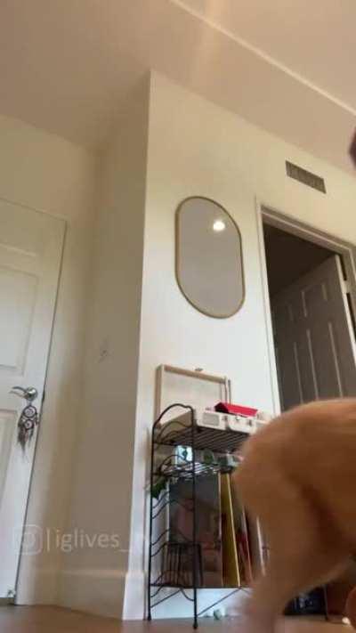 Kenzie trying to hide her new piercings