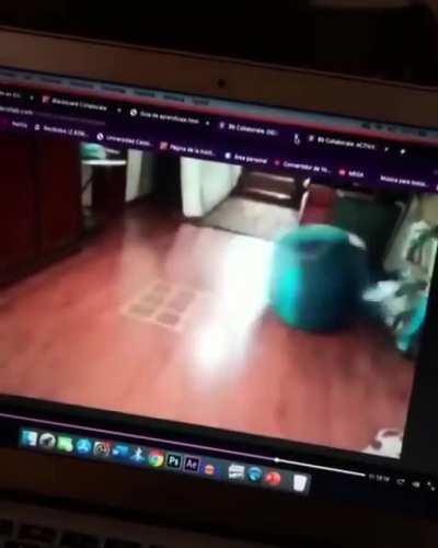 La educación física siempre importante