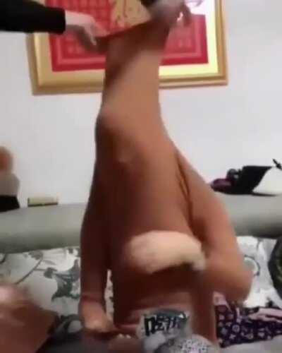 Let me fix that for you