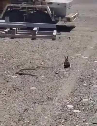 Psycho Bunny is all about that life!