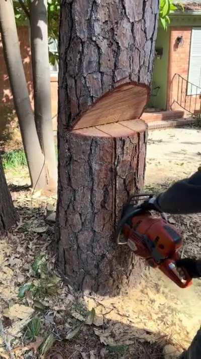 What is this method called and why isn't it used more?