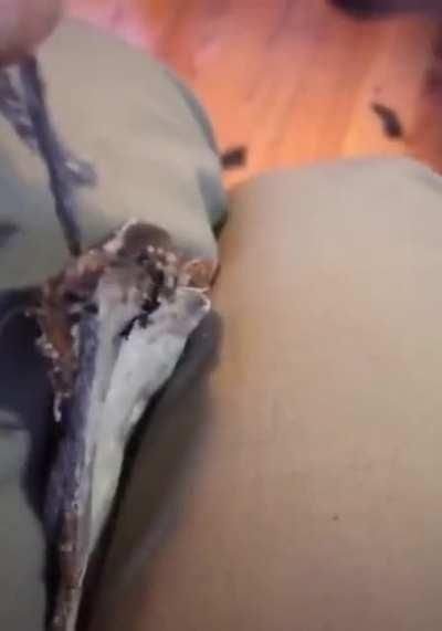 What in the cinnamon toast...