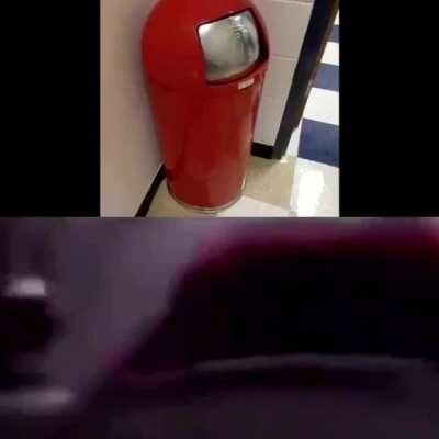 fuck not the hentai again caw caw