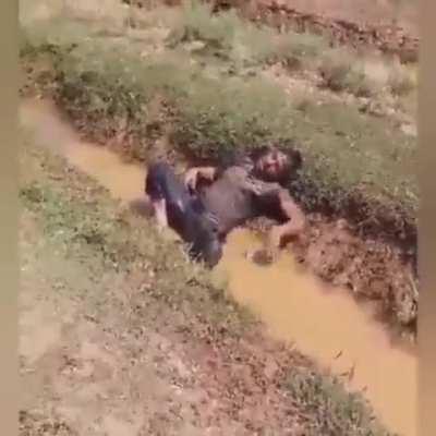 The video of the Syrian man with rabies who escaped from Turkish hospital