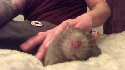 I absolutely promise you Atlas is alive.