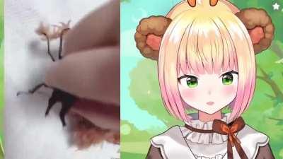 Never see a girl that so obsessed with her petbugs and soooo adorable while doing it xD Nenechi best wife xD