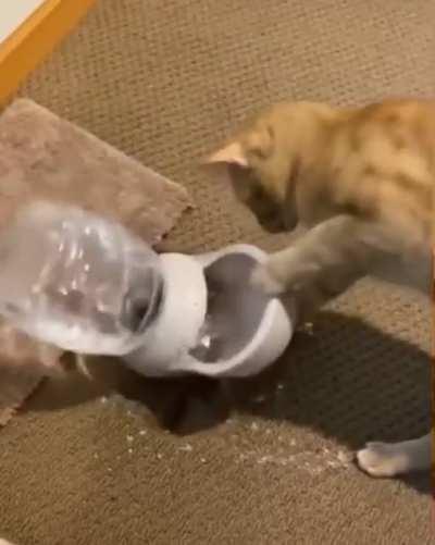 Thanks for the auto water dispenser. I love it.