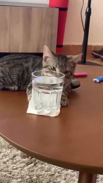 it was totally on purpose