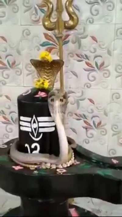 Har Har Mahadev