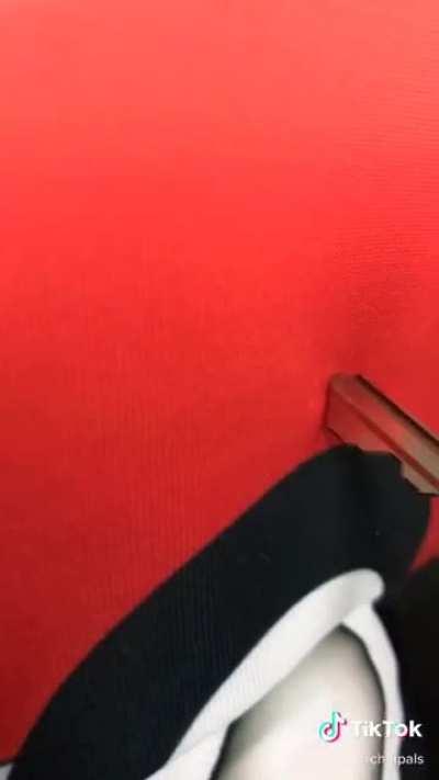 Before He Cheats- but make it ✨chinchillas✨