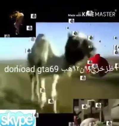 Igual eu😍❤☺️😈👌😱😎👍🤟😳