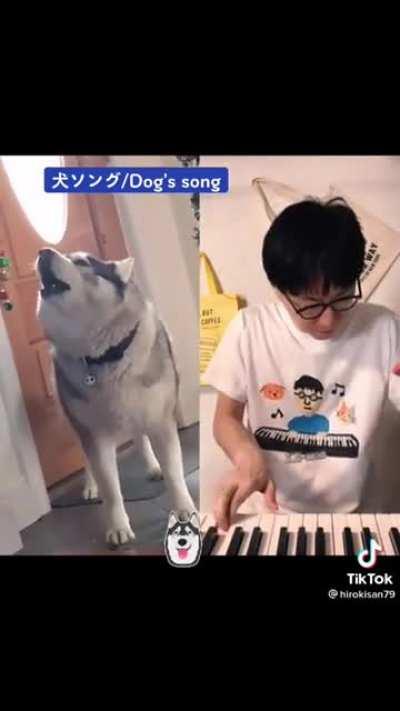 Concerto for Piano and Husky
