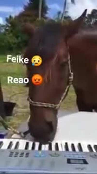 Reao 😠 Feike 😥