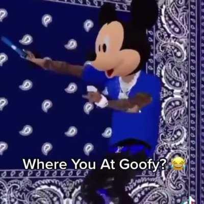 Gajis please st habla